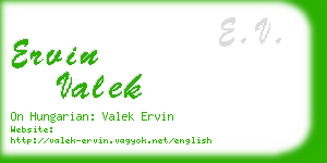 ervin valek business card